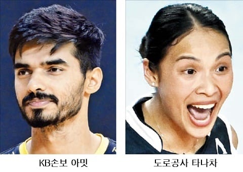 봄 배구 운명, 아시아쿼터 선수에 물어봐