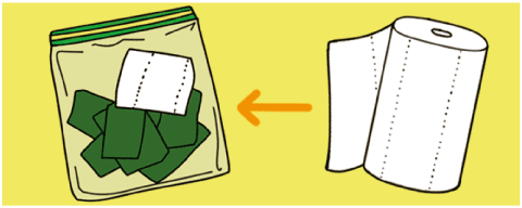 [리빙포인트] 말린 다시마 보관법