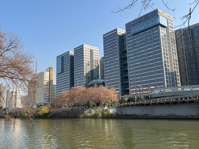 [특파원 리포트] 딥시크 신제품 출시일의 비밀