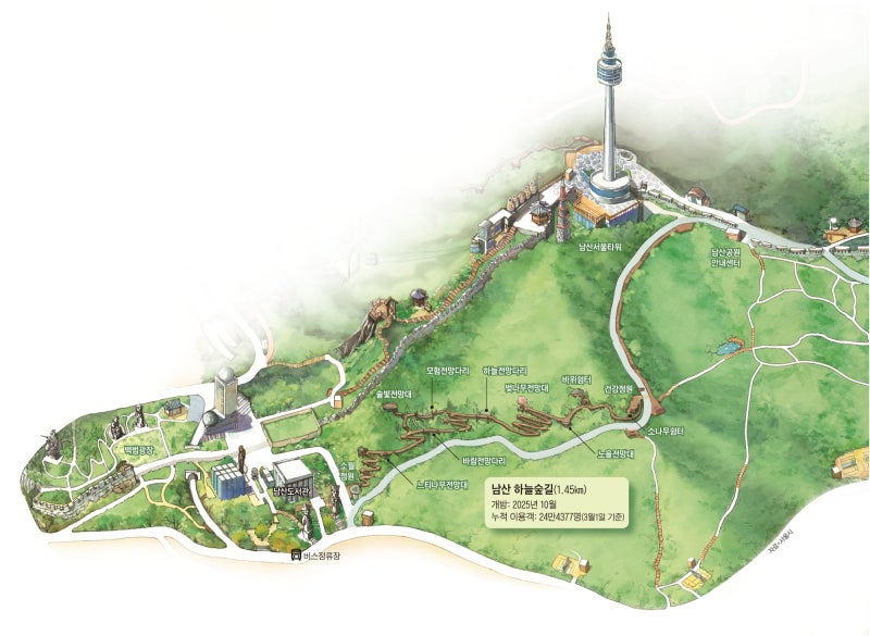 직선을 버리니 봄의 속삭임이 들렸다… 남산에서 마주한 ‘천천히’의 미학