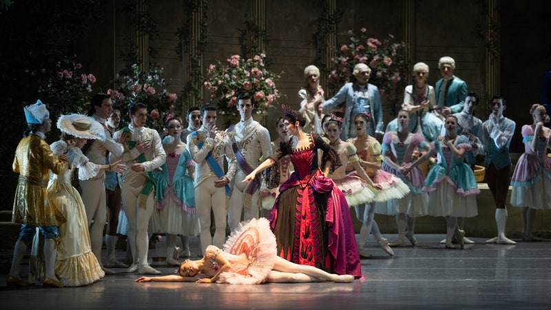 ‘탄호이저’ ‘살로메’ 초연한 ‘엘베강의 피렌체’