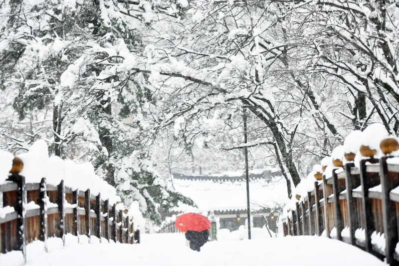 매서운 동풍, 강원에 또 15㎝ 폭설