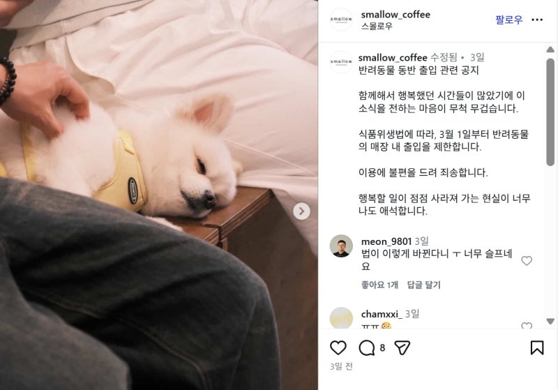 반려견 허용의 역설… ‘노펫존’으로 돌아선 식당들