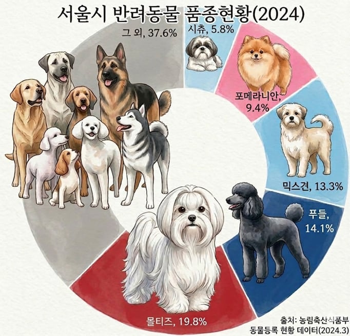 '반려견 전성시대'... 서울 자치구, 이색 정책 눈길 - 뉴스 썸네일 이미지