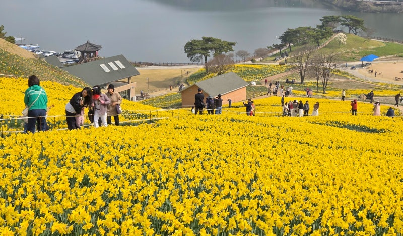 주말 수도권·충청 초미세먼지 ‘나쁨’