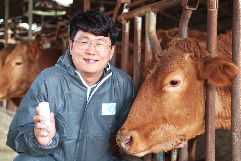 전세계 골칫거리 소 '방귀', 한국 스타트업이 해법 찾았다 - 뉴스 썸네일 이미지