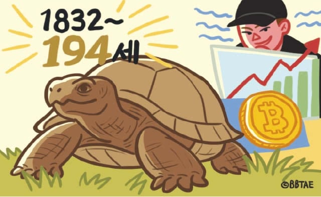 [윤희영의 News English] 194세 거북이의 가짜 訃告를 미끼로 쓴 코인 사기극