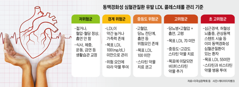 심혈관질환자, LDL 콜레스테롤 수치 55로 ‘확’ 낮춰야 안전