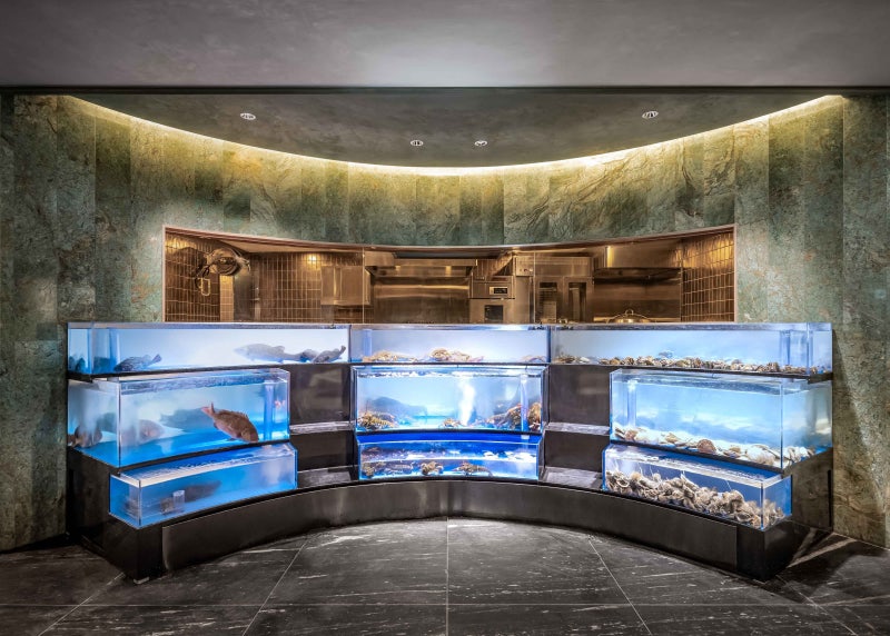 버거·우동·파스타 모두 접은 한화 김동선, 이번엔 '파인 다이닝'으... - 뉴스 썸네일 이미지