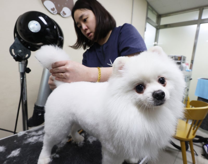 [핫코너] 절 버리려고 호텔에 보냈나요