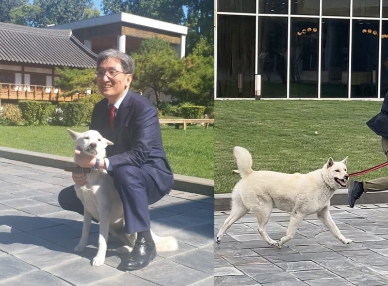 [특파원 리포트] 풍산개만 남고 길은 닫혔다