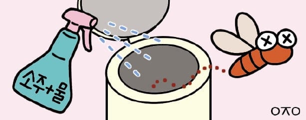 [리빙포인트] 쓰레기통 초파리엔 소주