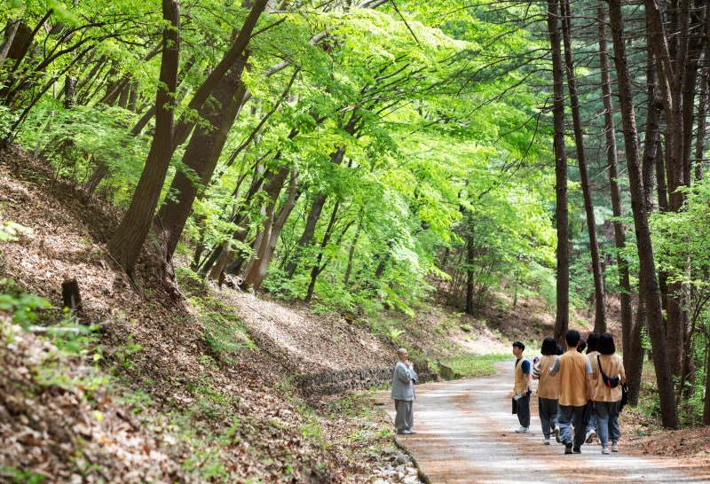 노고산 속 ‘흥국사’ 갈까, 광릉숲 옆 ‘봉선사’ 갈까?
