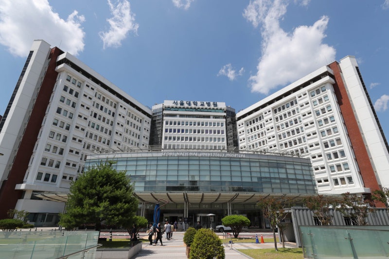 국립대병원 매출, 의정 갈등 전 회복… 인건비 늘어 적자는 커져