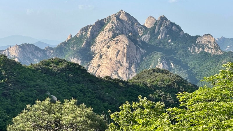 세월이 머문 자리