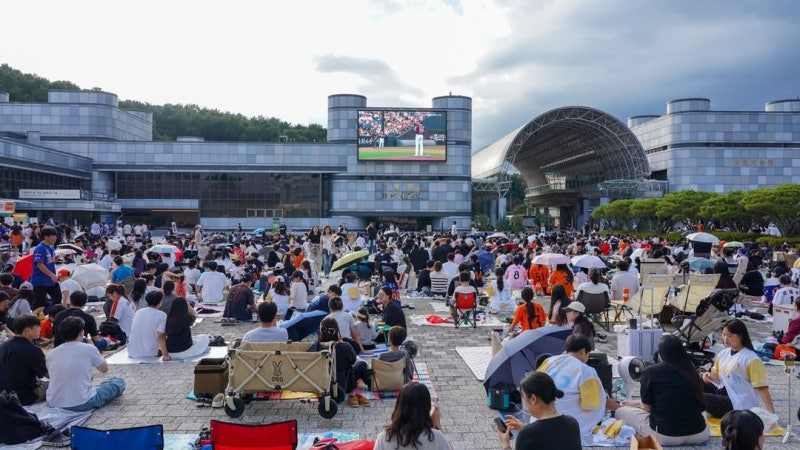 비싼 직관 대신 에어컨 빵빵한 영화관? 야구 팬들의 변심
