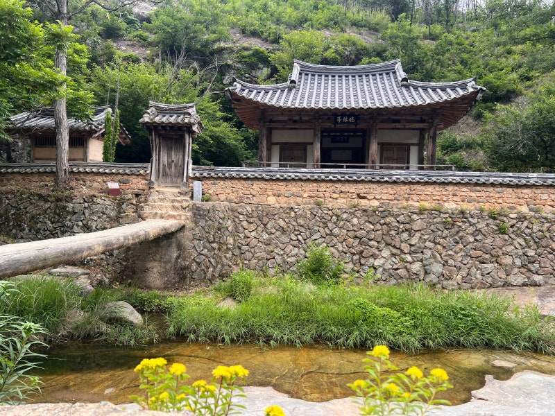 [윤주의 이제는 국가유산] [55] 화마가 비껴간 안동 만휴정의 초여름