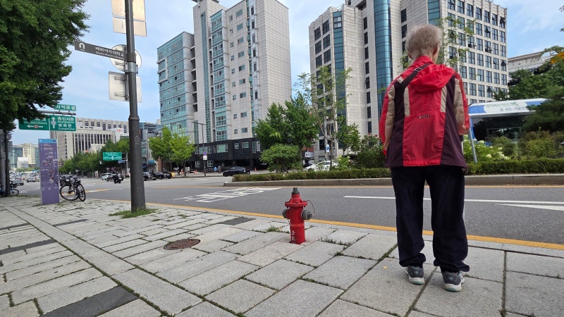 호출 앱 쓸 줄 모르는 어르신… 30분째 택시 한대 못 잡았다