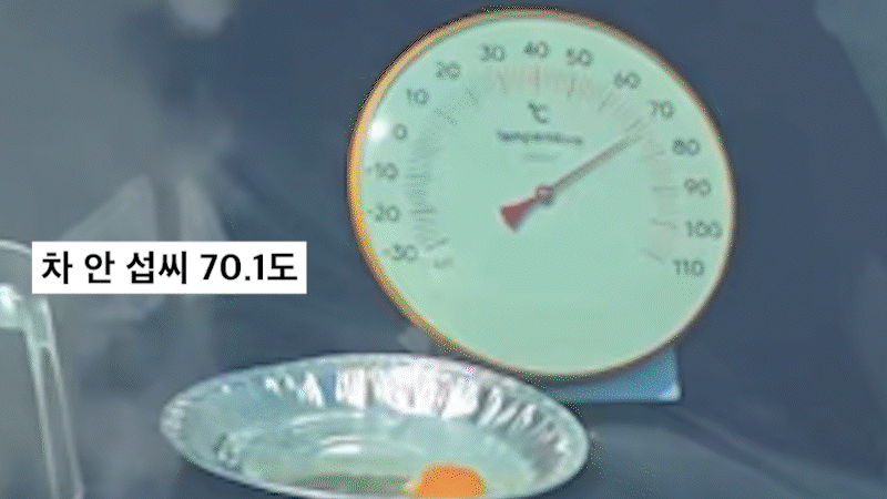 주차 1시간 만에 車가 대형 오븐으로… 베이컨이 익었다