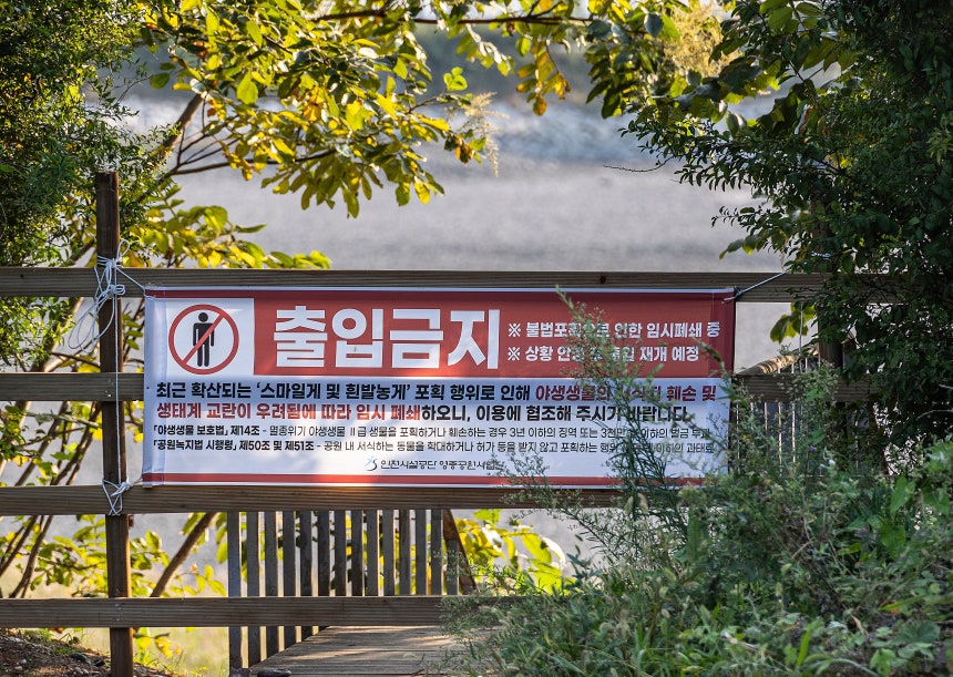 지난달 22일 인천 영종구 송산유수지 진입로에 출입 금지 현수막이 걸려 있다.도둑게를 잡겠다는 채집객이 갑자기 몰렸기 때문이다./이경호 영상미디어 기자