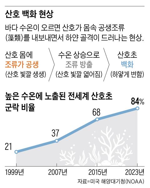 그래픽=백형선