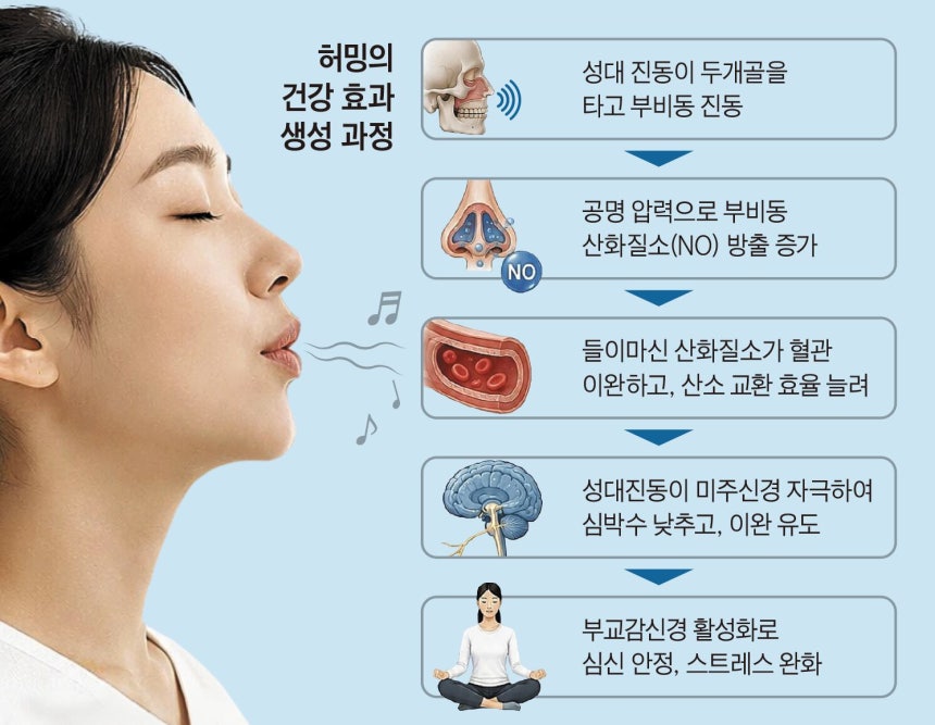 그래픽=김현국