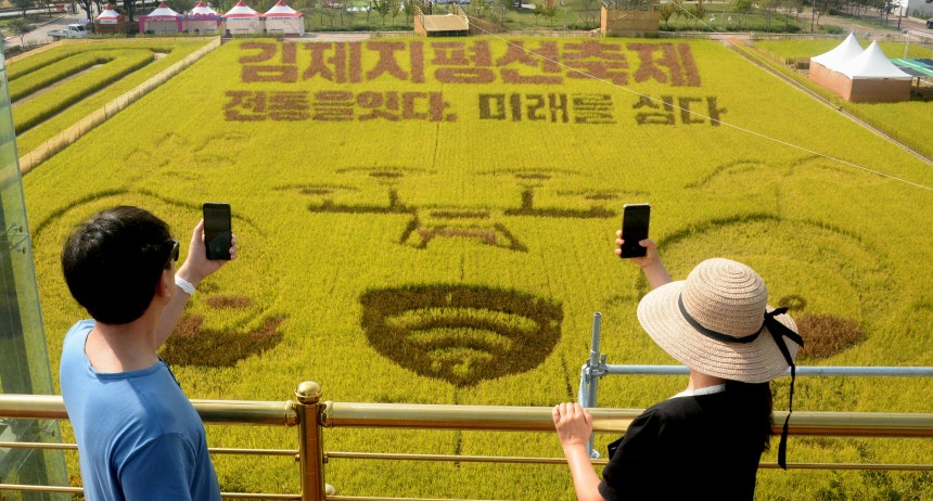 제28회 김제지평선축제 개막을 이틀 앞둔 지난 29일 전북 김제시 벽골제에 마련된 들녁마당./뉴시스