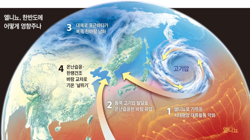올해 엘니뇨 한반도 영향/ 그래픽