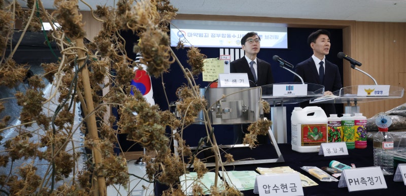 검찰 폐지 후폭풍… 관세청 특사경 ‘마약 수사’ 지휘할 대체 인력 4명뿐