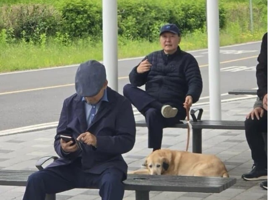  서울 동작대교 인근 한강공원에서 포착된 윤석열 전 대통령 (온라인 커뮤니티 갈무리)