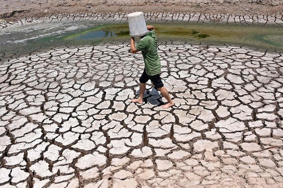 베트남 남부 지역에서 극심한 가뭄으로 인해 말라붙은 땅 위를 한 주민이 걷고 있다. AFP=연합뉴스