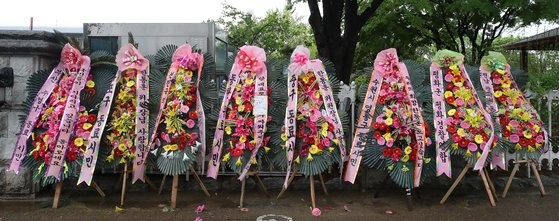 "<b>한동훈</b> 사랑합니다, 돌아오세요"…<b>국회</b> 앞 줄지은 응원 <b>화환</b>