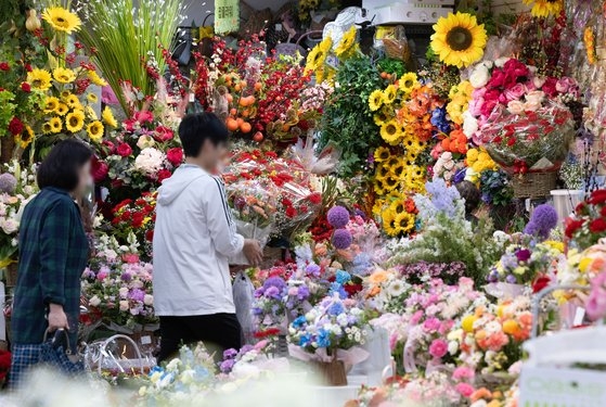 어버이날을 이틀 앞둔 6일 서울 서초구 양재꽃시장을 찾은 시민들이 카네이션을 살펴보고 있다. 뉴스1
