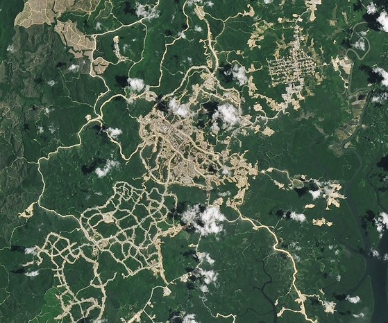2022년 4월 NASA 지구 관측소의 위성이 촬영한 누산타라 건설현장 모습. 열대우림이 깎여나가고 도로망과 건물이 들어선 모습이 확인된다. AFP=연합뉴스
