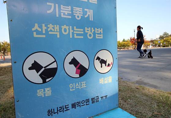 공원에서 한 시민이 목줄을 채운 반려견과 산책을 하고 있는 모습. 연합뉴스