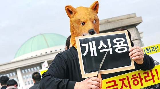 (서울=뉴스1) 김도우 기자 = 한국동물보호연합 회원들이 13일 오후 서울 영등포구 국회 앞에서 열린 '개식용 금지법' 국회 농해수위 법안 소위 통과 환영 기자회견에서 퍼포먼스를 하고 있다. 이들은 이날 기자회견에서