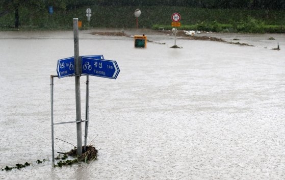 대전을 비롯해 충남지역에 많은 비가 내린 8일 대전 갑천변이 침수돼 있다. 뉴스1