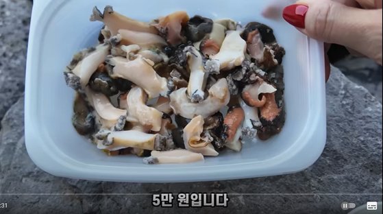 '5만원 해산물 바가지 요금' 유튜브 영상. 사진 유튜브 '부산여자하쿠짱TV' 캡처