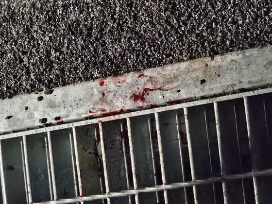 19일 오전 서부지법 경내에서 폭도가 흘린 것으로 추정되는 피가 곳곳에 흘려져 있었다. 이영근 기자