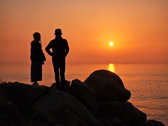 봄바람 불면 깨어난다, 야생화 천국의 섬