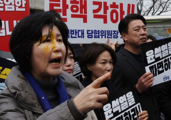 野백혜련 달걀봉변, <b>이재정</b>은 "허벅지 차였다"…거칠어지는 헌재 앞