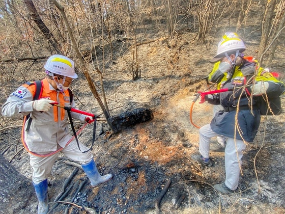 울산 울주군에서 발생한 산불이 사흘째 계속되는 가운데, 의용소방대원 등이 등짐배낭을 이용해 잔불을 정리하고 있다. 사진 울산소방본부