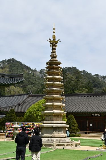 지난 5년 간 보수 공사를 거친 강원도 평창 월정사의 월정사팔각구층석탑(국보)이 지난달 30일 언론에 공개됐다. 고려 초기 다각다층석탑의 전형으로 꼽히는 이 탑은 상륜부 금속장엄물이 노후화하면서 2019~2024년에