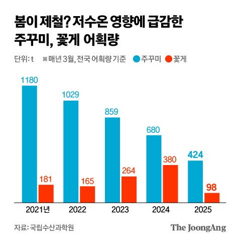 지금 딱 먹기 좋은데…'철없는 바다'에 꽃게·주꾸미 도망갔다