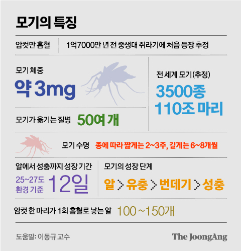 김영옥 기자