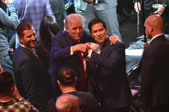 [사진] 트럼프 UFC 관전