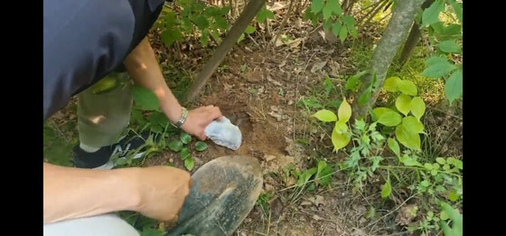 2023년 9월 서울경찰청 광역수사단 마약범죄수사대에 따르면, 국내에 80억원어치 마약을 유통하려다 검거된 마약 유통 조직은 기존 던지기 수법으로 마약 도난 사고가 발생하자 공원 인근 야산에 마약을 묻는 방식으로 마