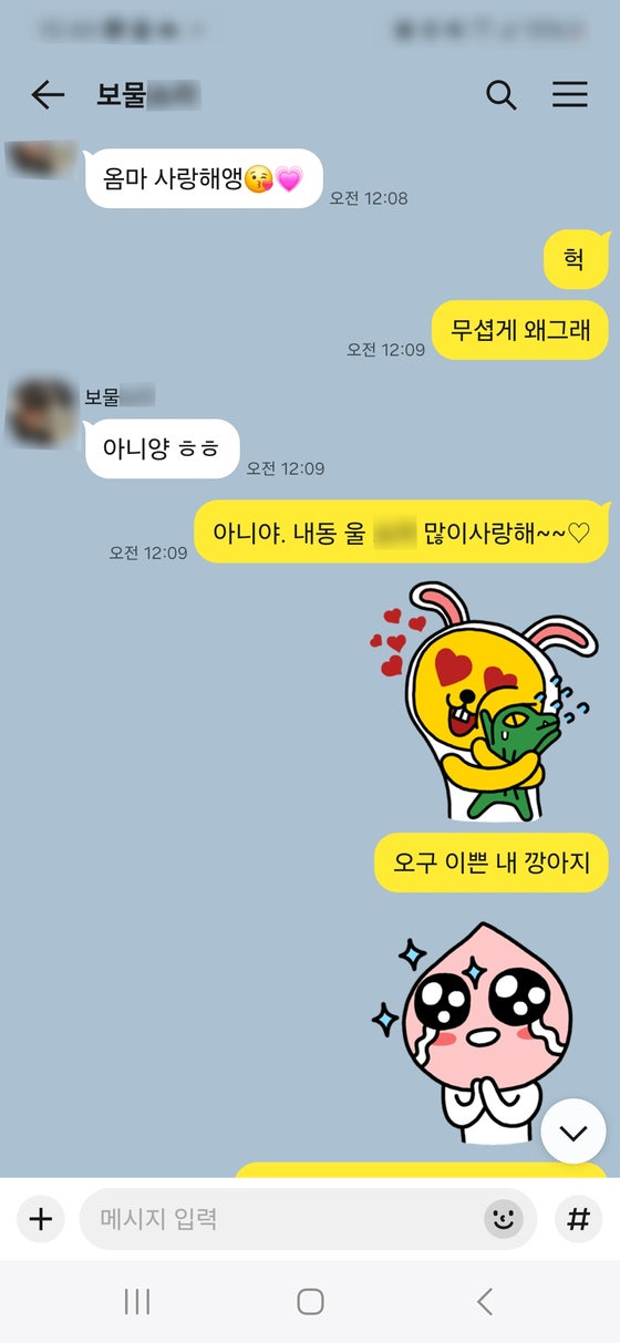 숨지기 직전 딸과 엄마가 나눈 마지막 카톡 대화. ‘오전 12:08’와 ‘오전 12:09’에 오간 시간이 보인다. 모녀의 마지막 대화였다. 그로부터 30분 지난 12시 40쯤 아파트 화단에서 시신으로 발견됐다. 어머