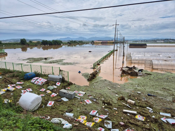 충남 예산군 삽교육 하포2리 농경지가 대부분이 침수됐다. 최종권 기자