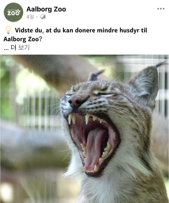 먹이 기증을 요청하는 게시물. 올보르 동물원 페이스북